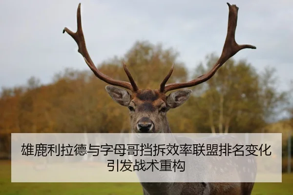 雄鹿利拉德与字母哥挡拆效率联盟排名变化引发战术重构